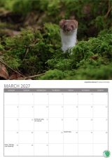 2027 Calendar: “Wildlife in the Landscape”