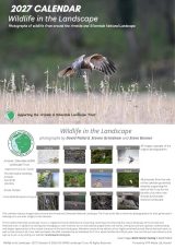 2027 Calendar: “Wildlife in the Landscape”